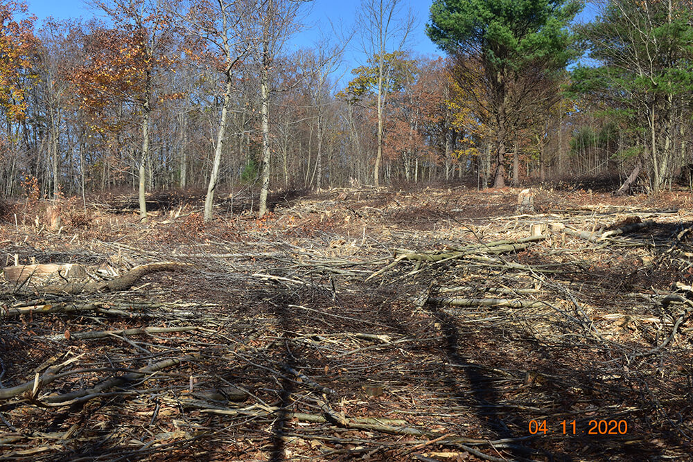 Area Before Habitat Work