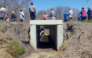 Wildlife tunnel on Assunpink WMA