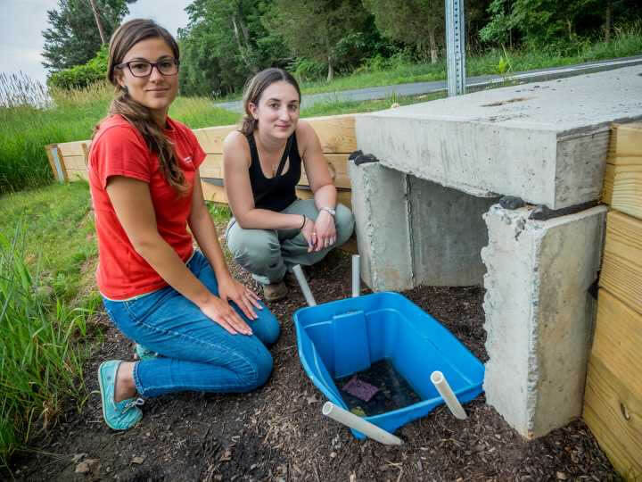 Herp tunnel