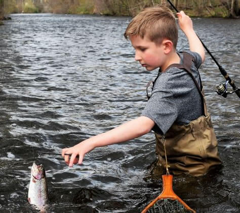 Thomas Fox releasing Rainbow Trout
