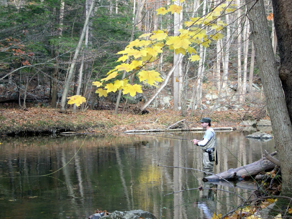 Fall fly fisherman
