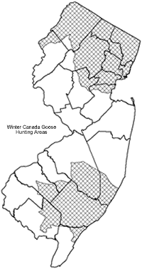 Winter Canada Goose Hunting Areas
