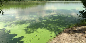 Pemberton lake
