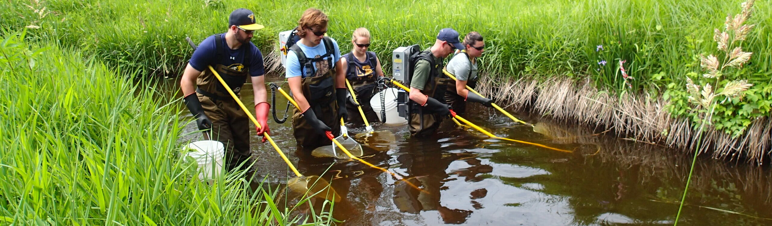 fish monitor team fish monitoring