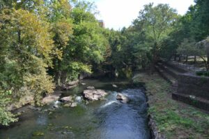 picture of river with rocks and trees