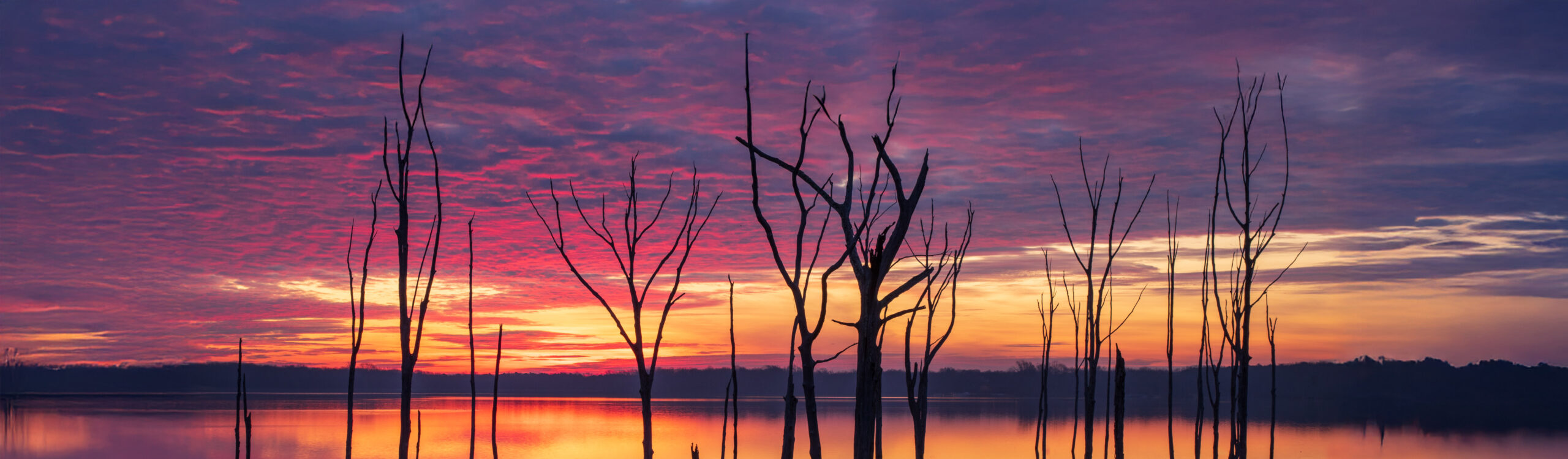 Silhouette of plants by lake against sky during sunset,Howell,New Jersey,United States,USA