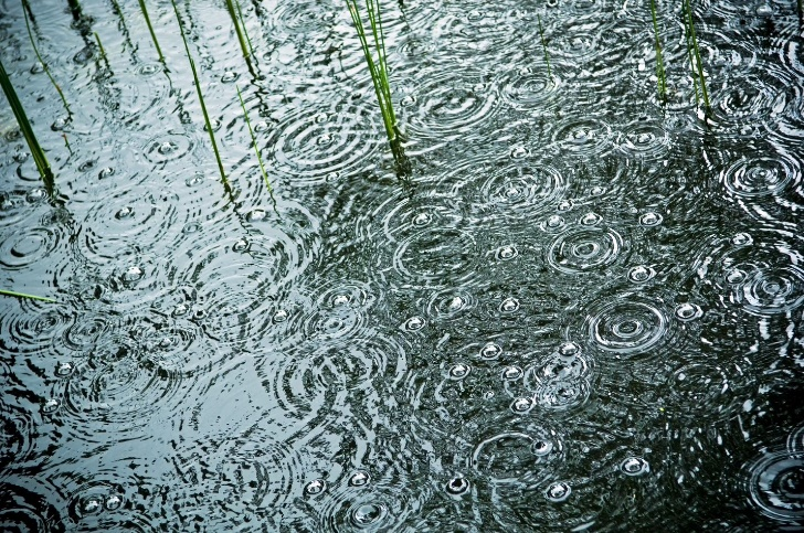 rain