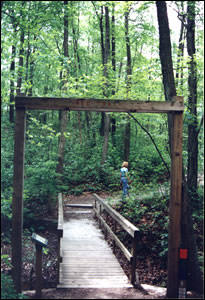 Image of a trail bridge