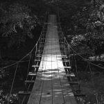 Wood footbridge through the woods