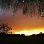 Sunset on the horizon