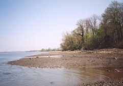 Shoreline at Taylor Wildlife Preserve