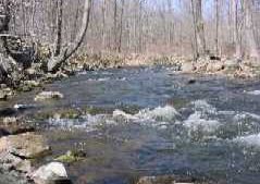 Rapids on a stream at Raritan Wildlife Management Area
