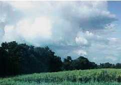 Meadows and woods preserved in Central NJ