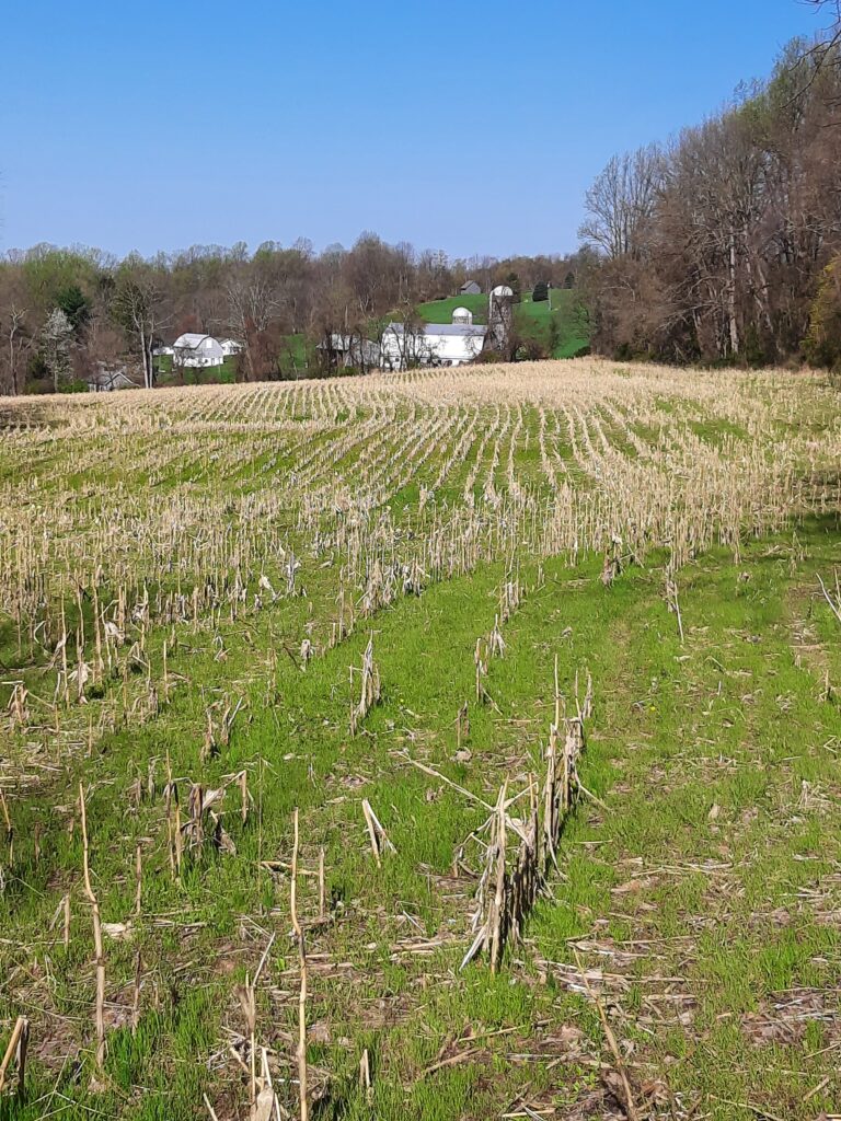 success-glass-estate-farmlands farm field with buildings in background