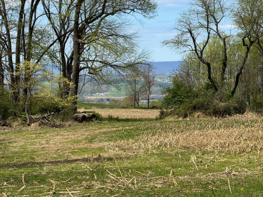 success-glass-estate-view-west-across-fields trees between farm fields in the foreground and mountains in the distance