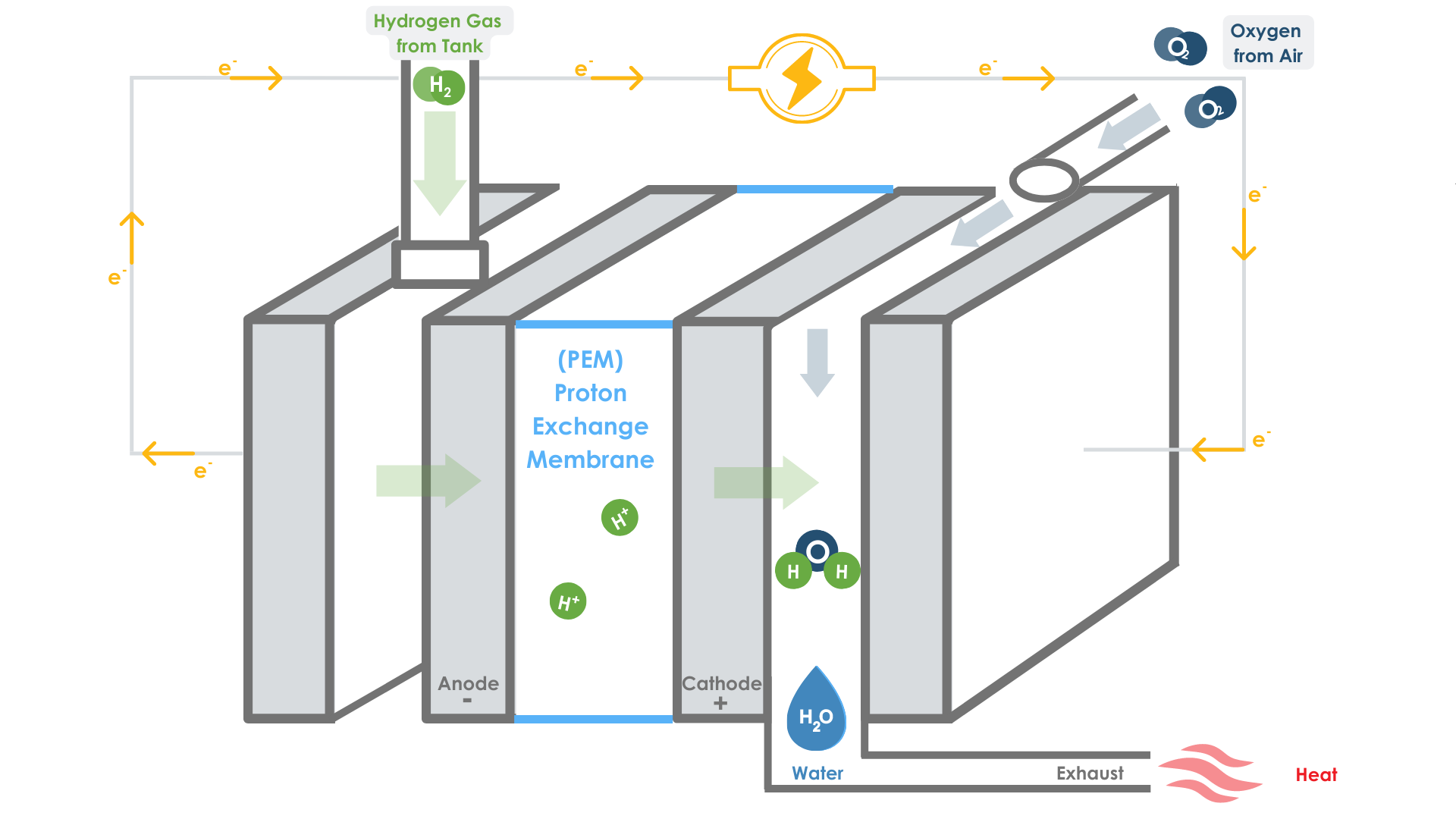 Detailed diagram of the hydrogen fuel cell and how it takes hydrogen molecules and converts it into hydrogen power