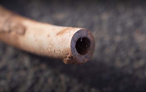 lead-pipe