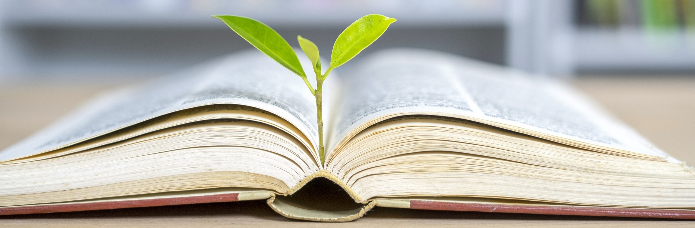 booktree_2560x750