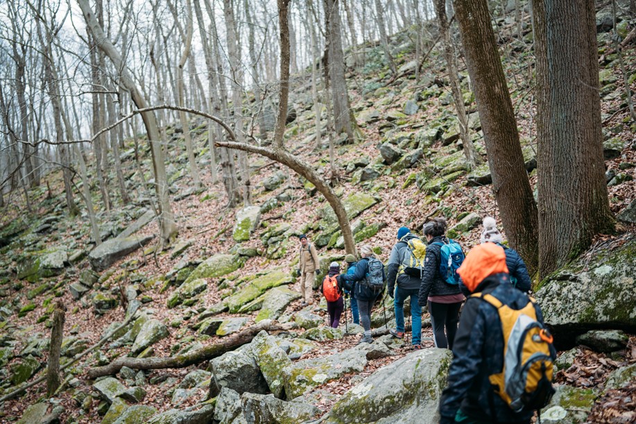 hikers