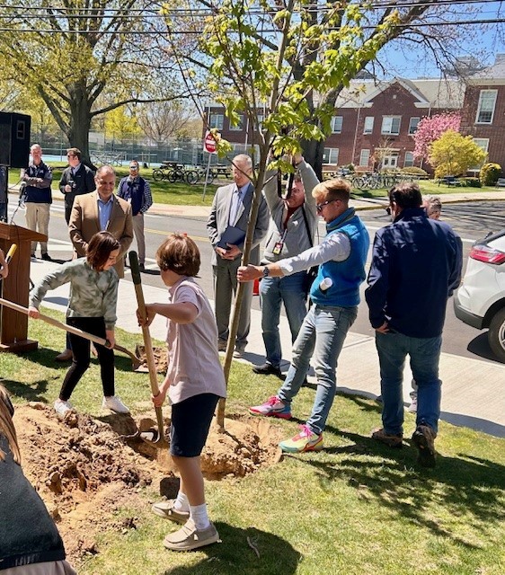 tree planting
