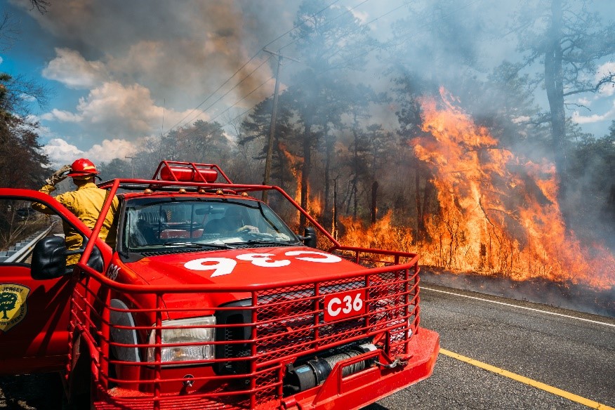 forest fire truck