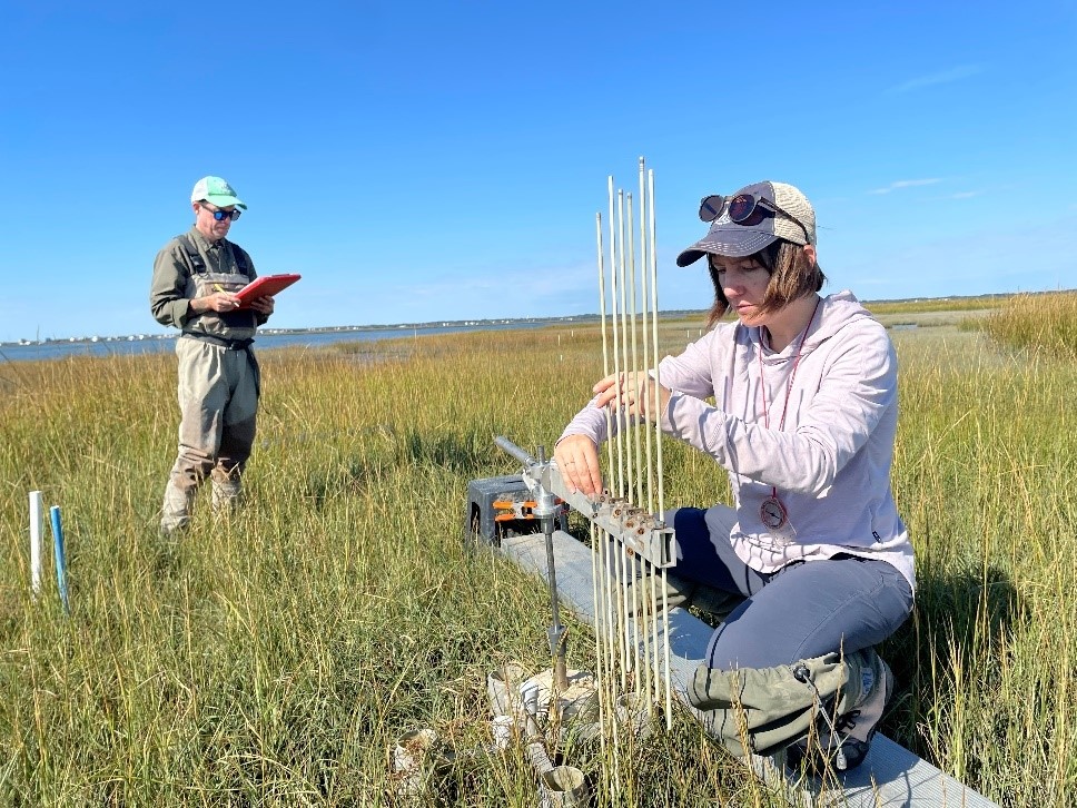 field work