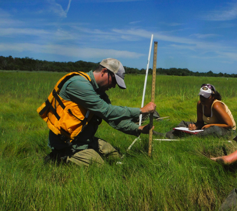 field work measurements