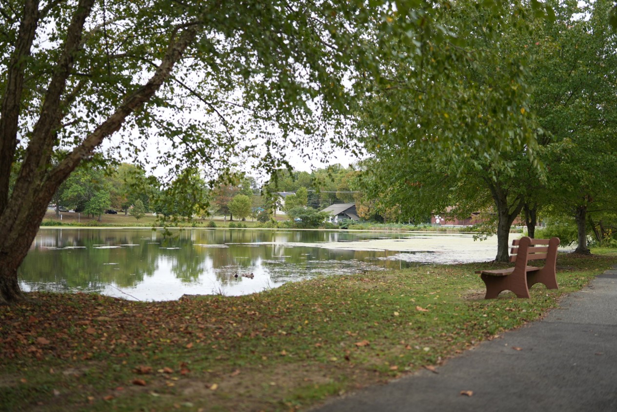 pond view