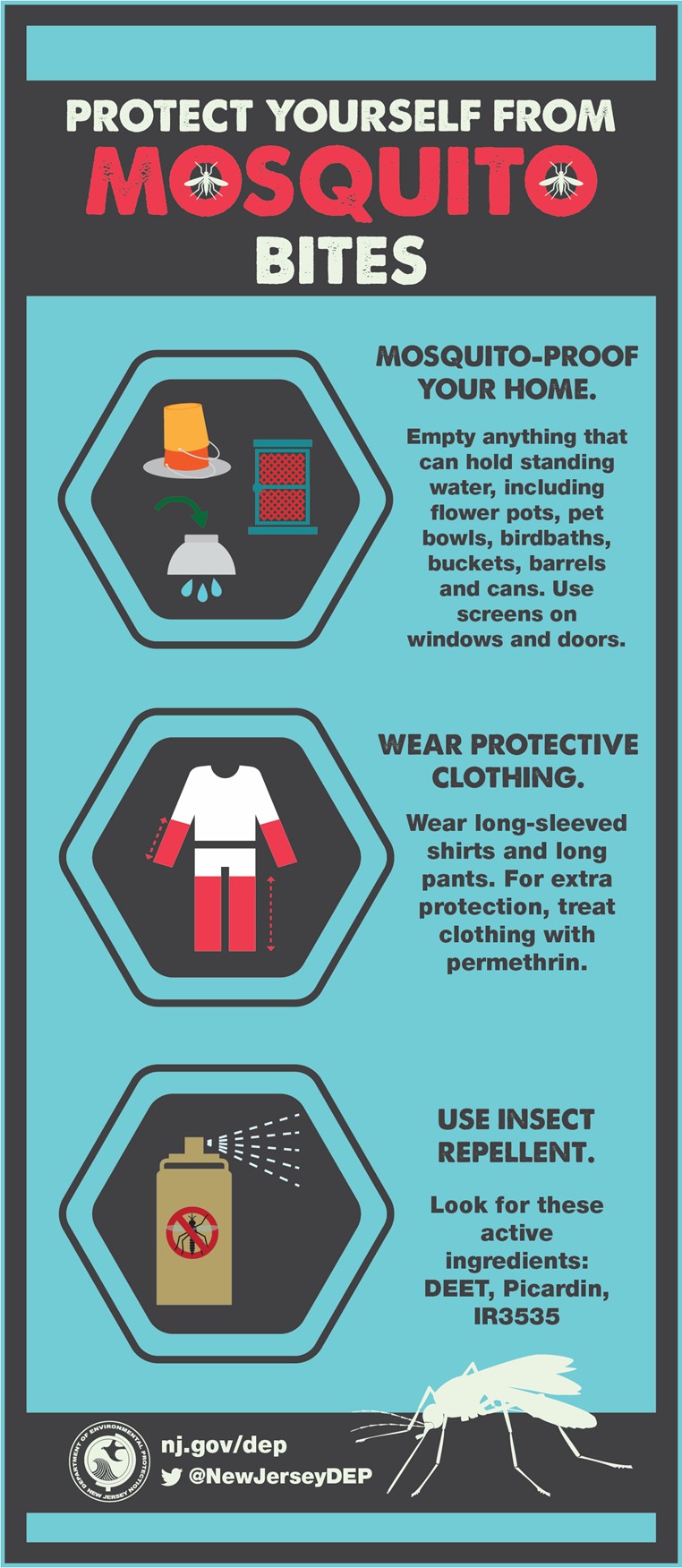 Protect Yourself from Mosquito Bites