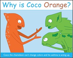 coco-orange Why is Coco Orange?