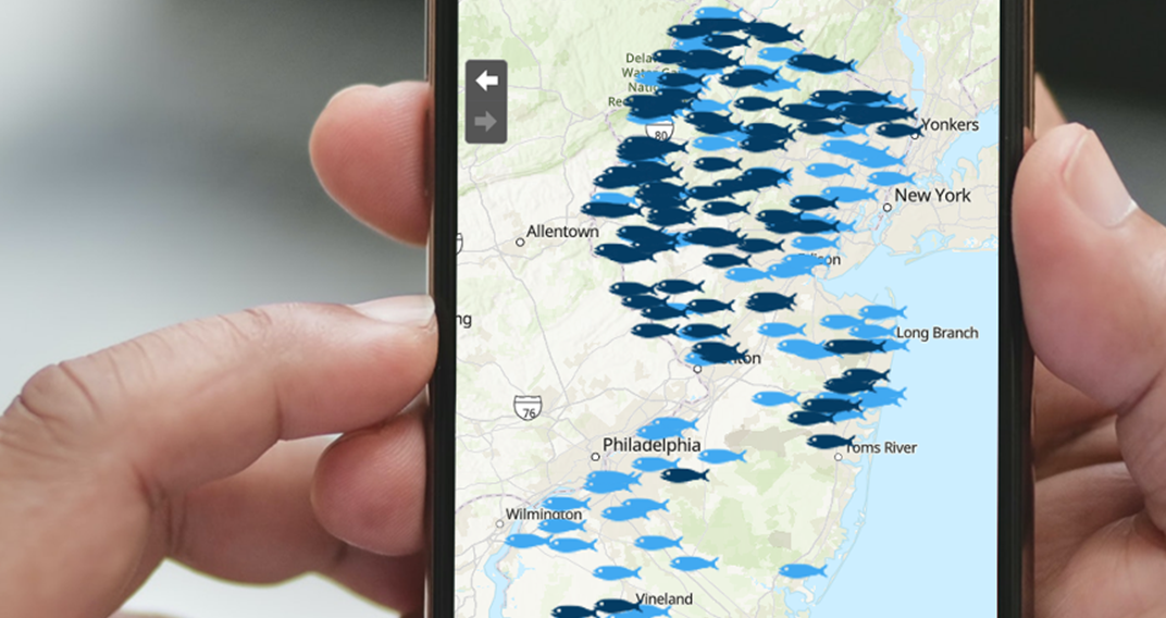 Trout Stocking App