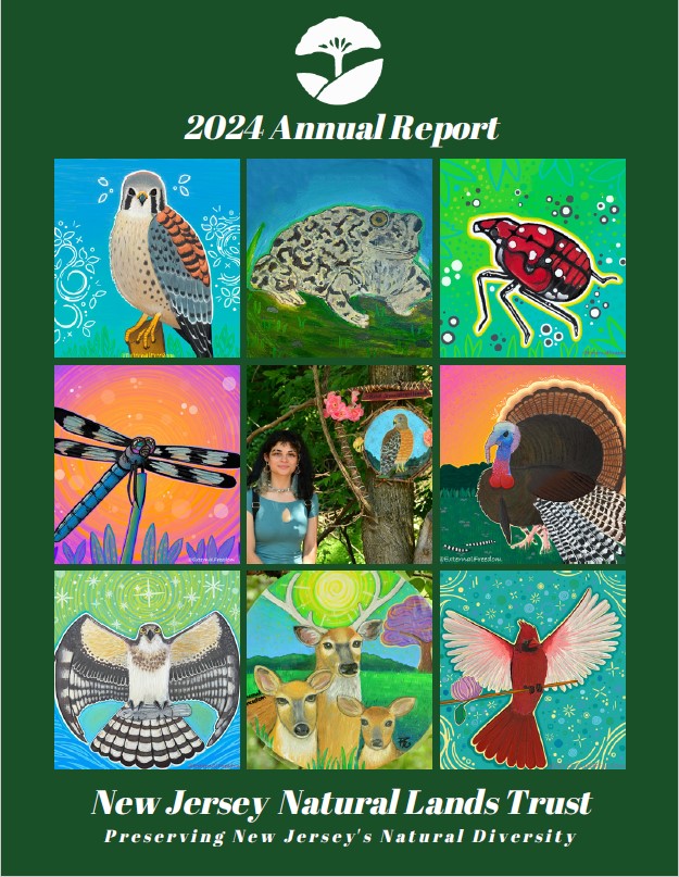 Annual Report 2024