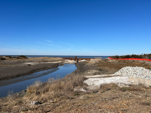 Higbee Beach-Completed ditch plug at the mouth of Pond Creek