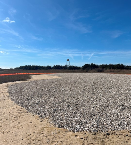 Picture13-nov2024 Construction of a sand shell island south of the Pond Creek mainstem – November 2024