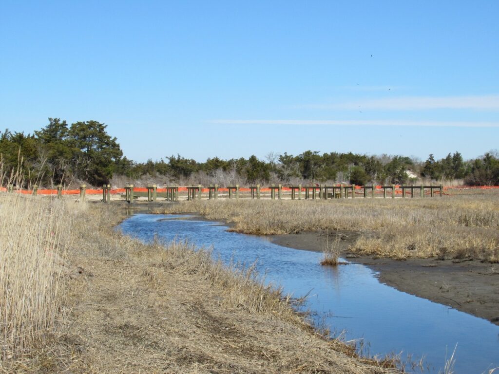Picture4-march2025 Completed foundation support for forthcoming boardwalk located in the western portion of the project – March 2025
