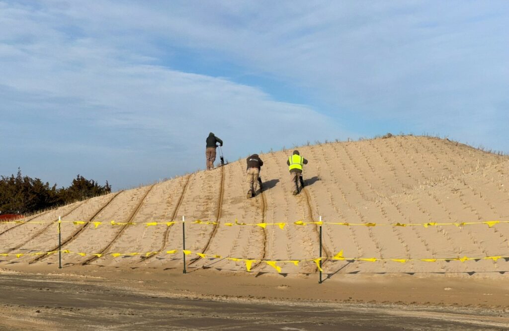 Picture8-march2025 Seeding of a newly constructed dune system with panic grass (Panicum amarum) – March 2025