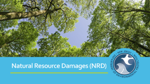 Presentation on Natural Resource Damages and how are they assessed