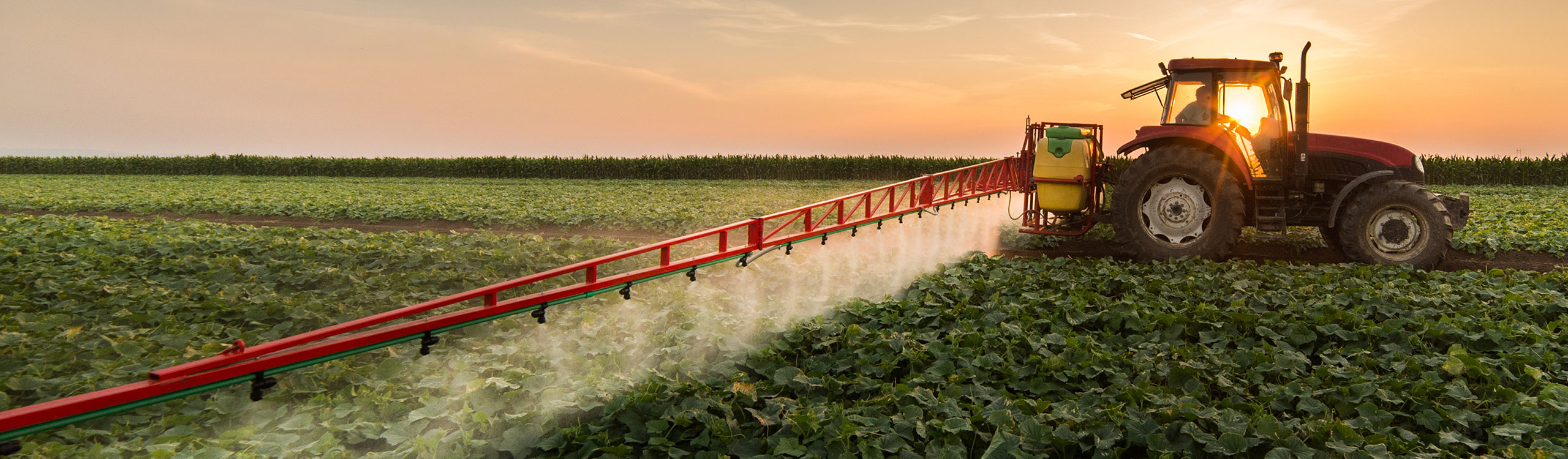 pesticide-hero-image-optimized-GettyImages-907966126