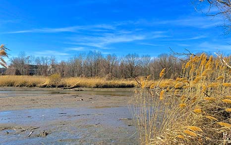 rebuild by design meadowlands