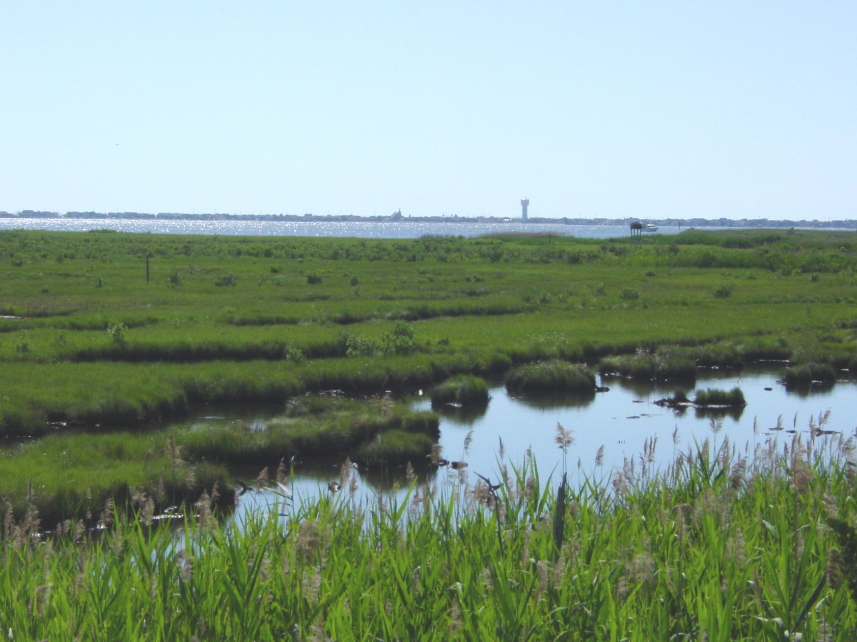 Barnegat Bay Estuary