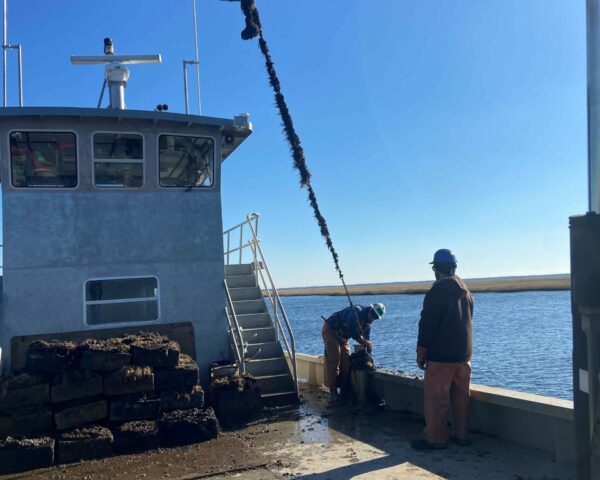 Removing Buoys